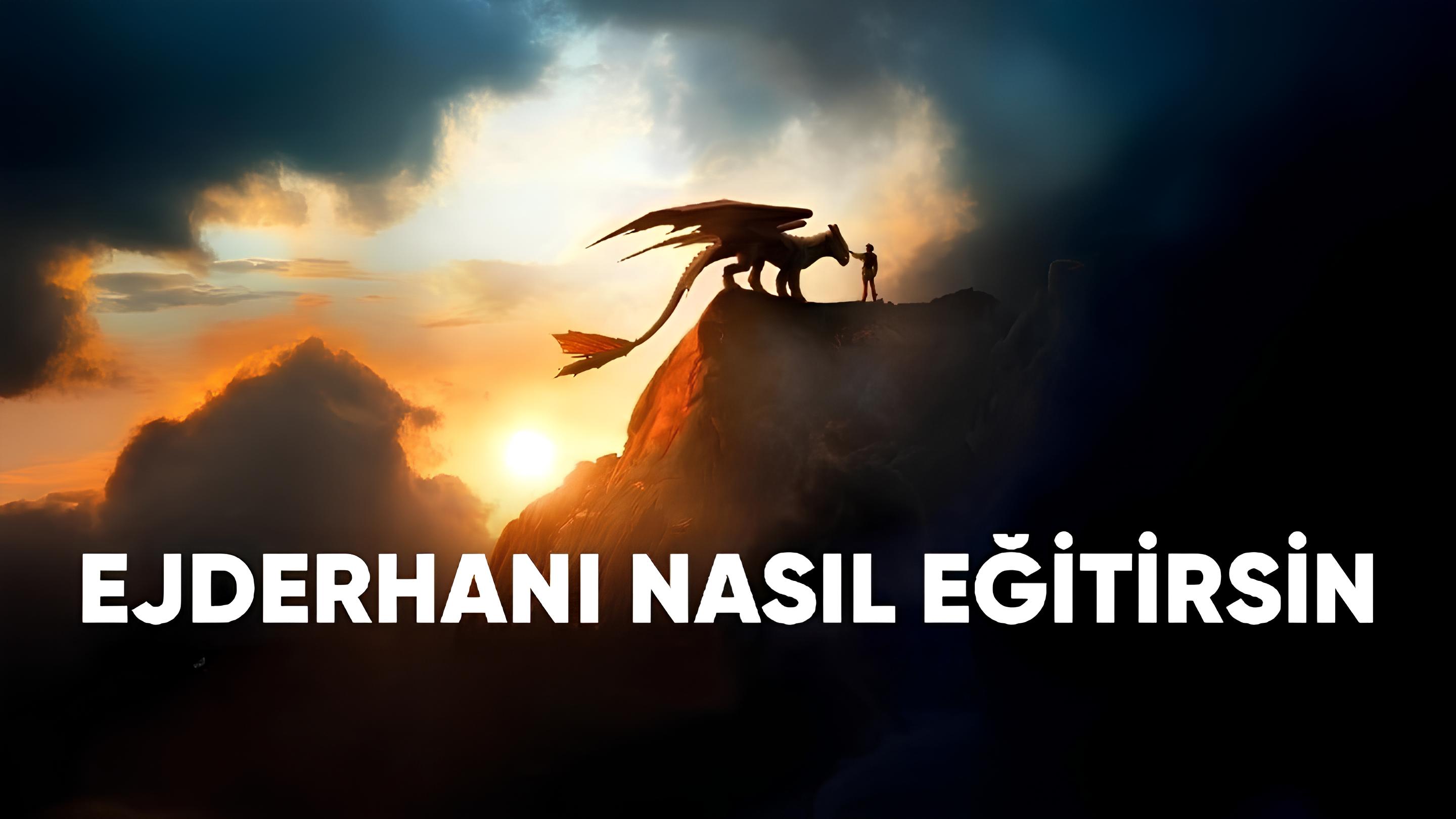 Ejderhanı Nasıl Eğitirsin Filmi