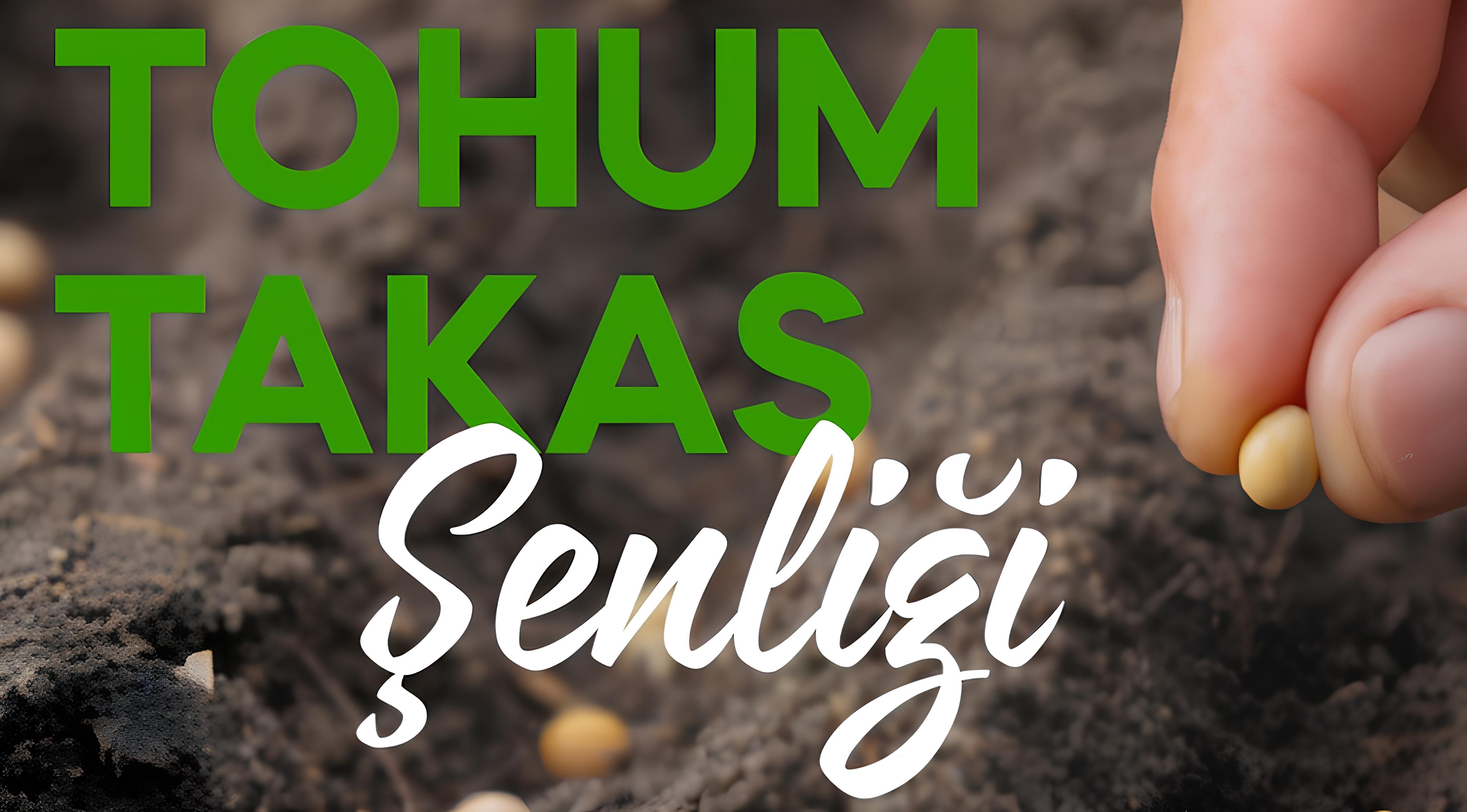 Tohum-Takas Şenliği