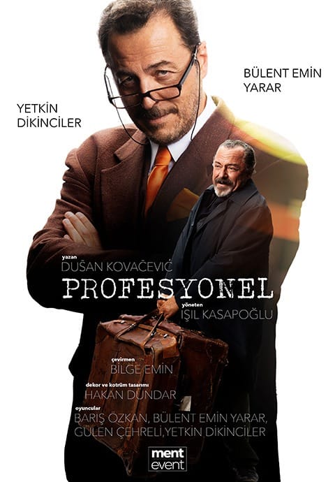 Profesyonel