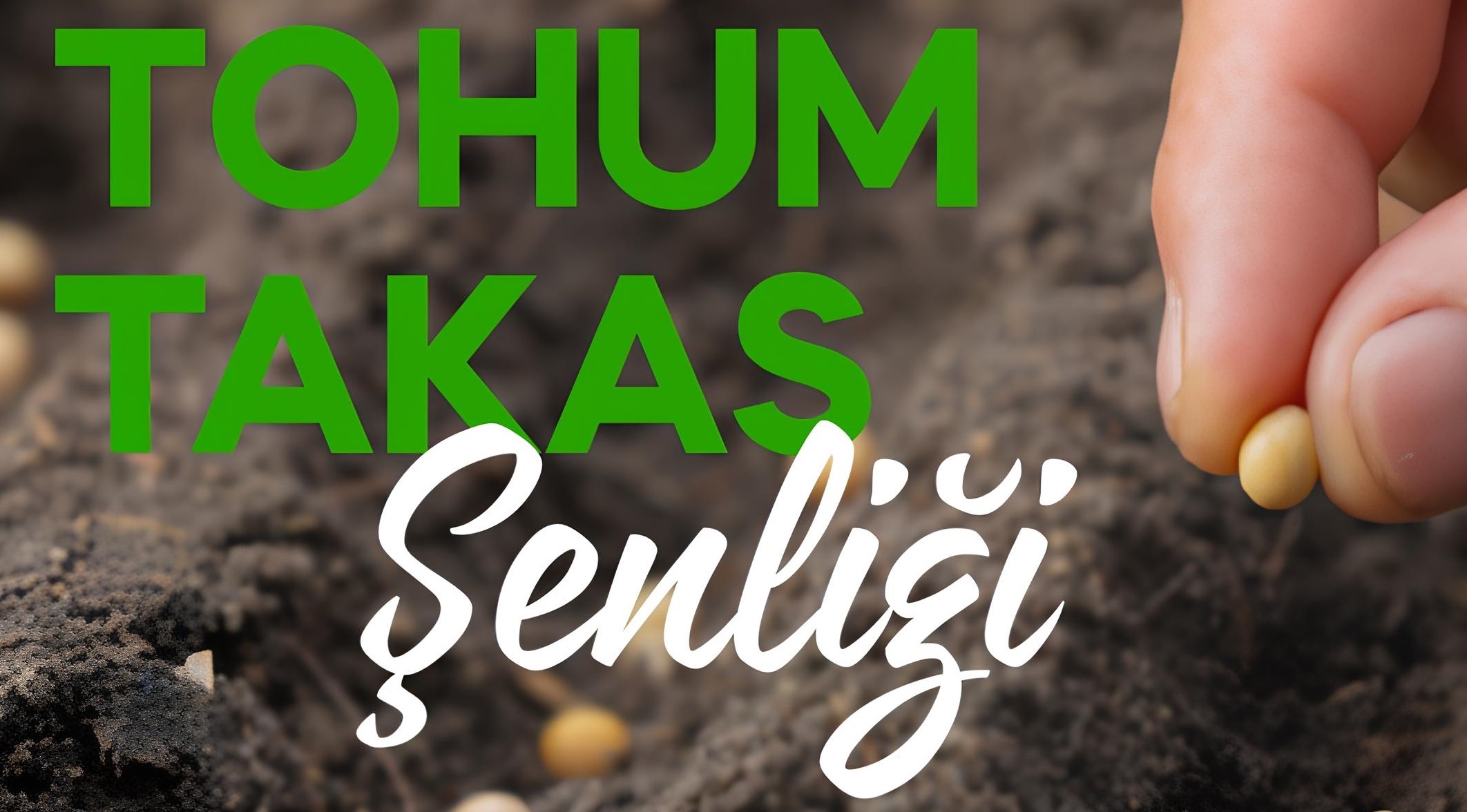 Tohum-Takas Şenliği