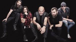 Yüksek Sadakat Konseri